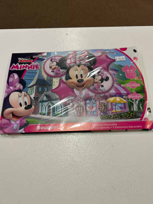 Minnie Mouse decorative